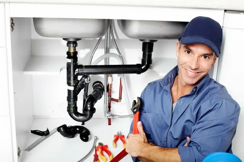Plumber Ryde